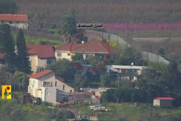 photo_5801131190936257121_y