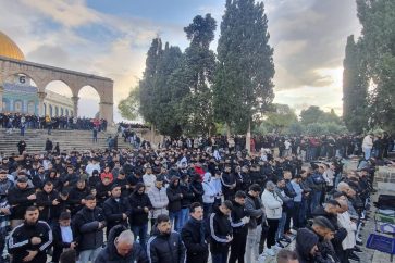 manar-08203830017127374013