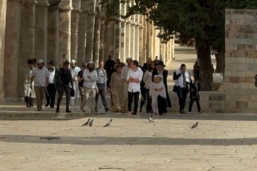 manar-06318920017138676239