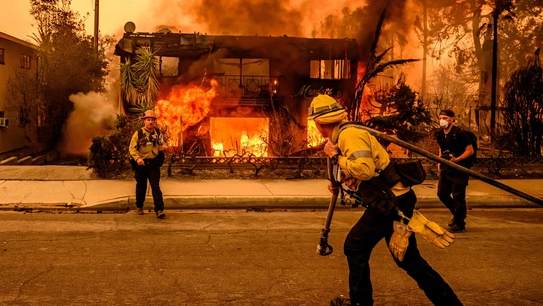 Los Angeles Wildfires