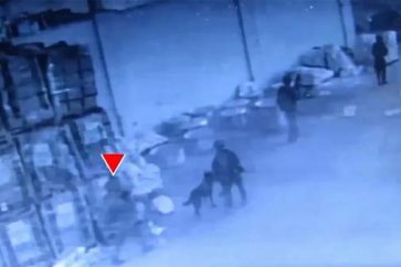 Screen capture of Al-Qassam's video showing Israeli soldiers before being ambushed by Palestinian resistance fighters in Gaza's Rafah (May 2025).