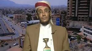 Advisor of Yemen’s Supreme Political Council Mohammad Taher Anaam