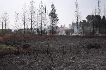 Fire in the Zionist entity