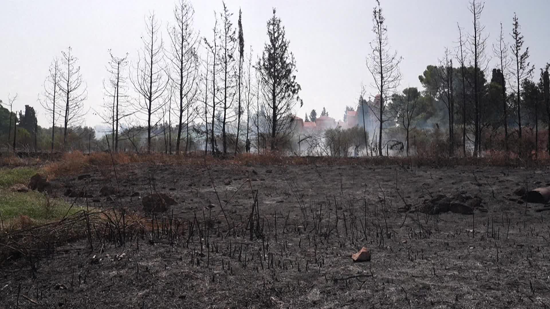 Fire in the Zionist entity