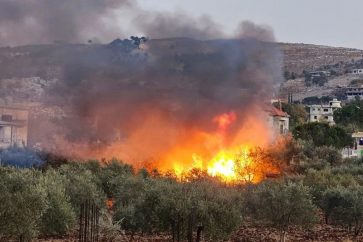 manar-1ff74de461152db4