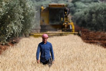 manar-0b79686c3ee6ffd3-1024x576