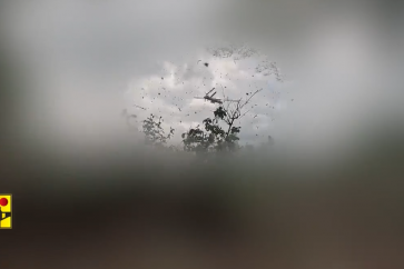 manar-045905200172840761810