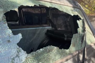 photo_5778123386142788824_y