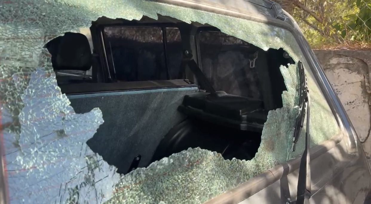 photo_5778123386142788824_y